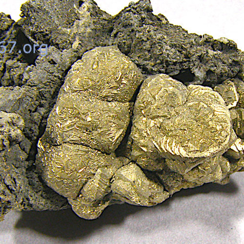 Marcassite